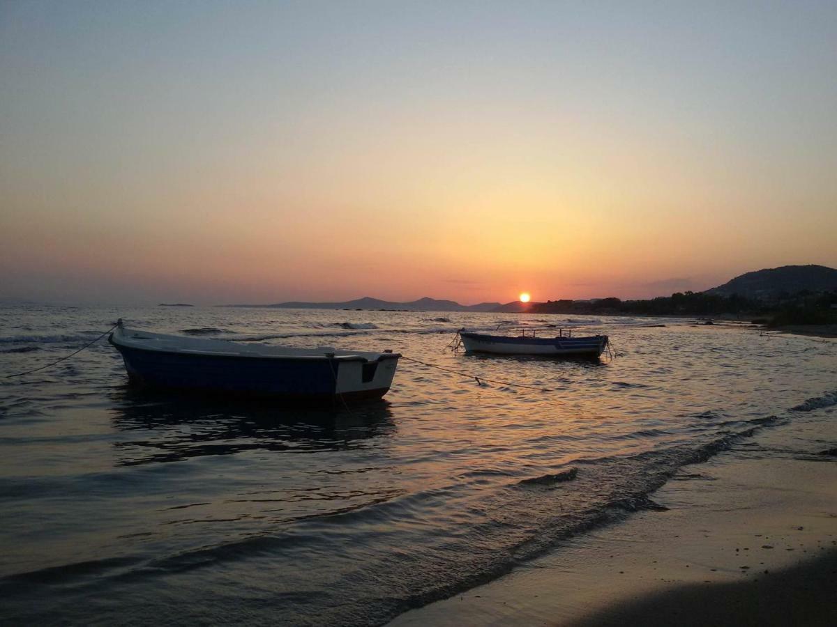 House,1000M From Beach Λαγονήσι Εξωτερικό φωτογραφία