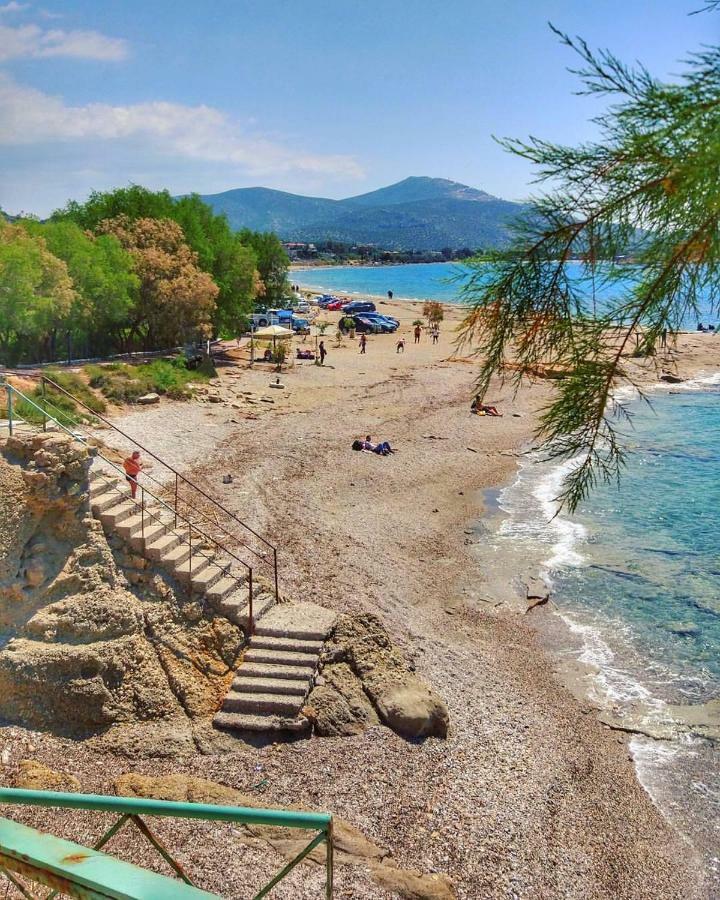 House,1000M From Beach Λαγονήσι Εξωτερικό φωτογραφία